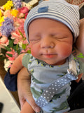 * Reborn Adoption Appointment: Schedule Here