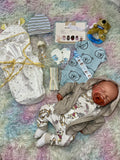 * Reborn Adoption Appointment: Schedule Here